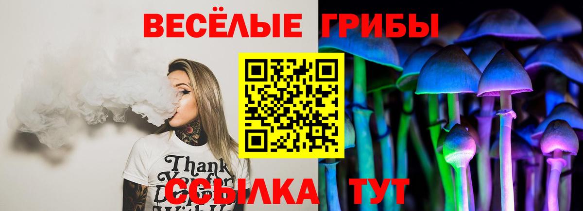 Галлюциногенные грибы мицелий  магазин    Апатиты  Вход с VPN 